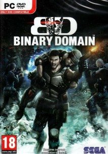 Binary Domain Collection Key