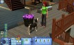 View a larger version of Joc The Sims 3: Pets pentru Origin 2/3