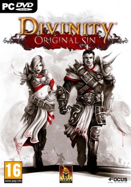 Joc Divinity: Original Sin pentru Steam