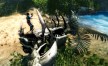 View a larger version of Joc Risen 2 Dark Waters pentru Steam 6/6