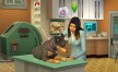 View a larger version of Joc The Sims 4 - Cats & Dogs DLC Origin CD Key pentru Origin 1/6