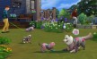 View a larger version of Joc The Sims 4 - Cats & Dogs DLC Origin CD Key pentru Origin 4/6