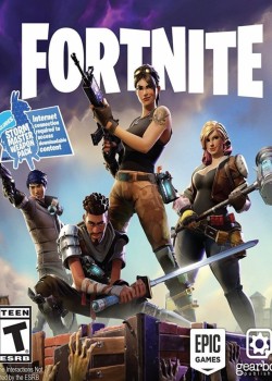 Fortnite Standard Edition Cd Key Pc - cover 3 250x350 jpg