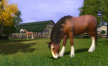 View a larger version of Joc The Sims 3: Pets pentru Origin 3/3