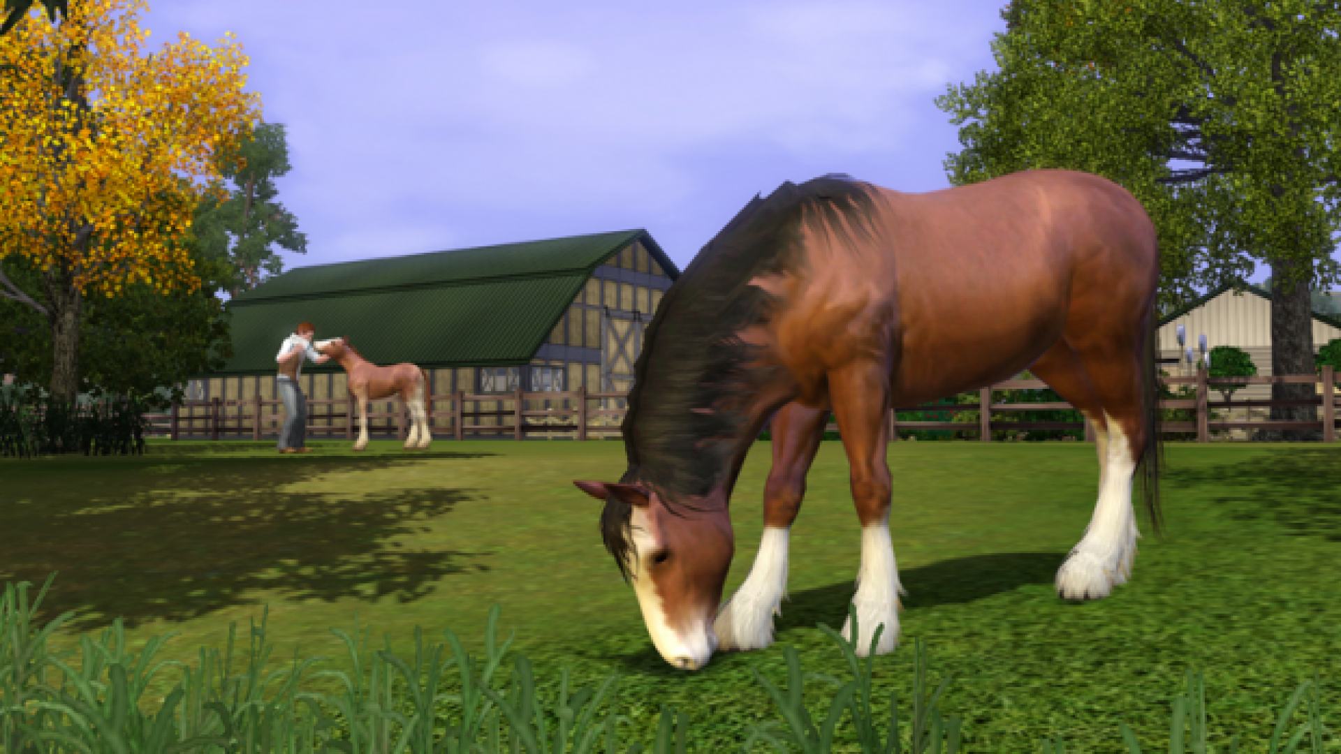 the sims 3 pets
